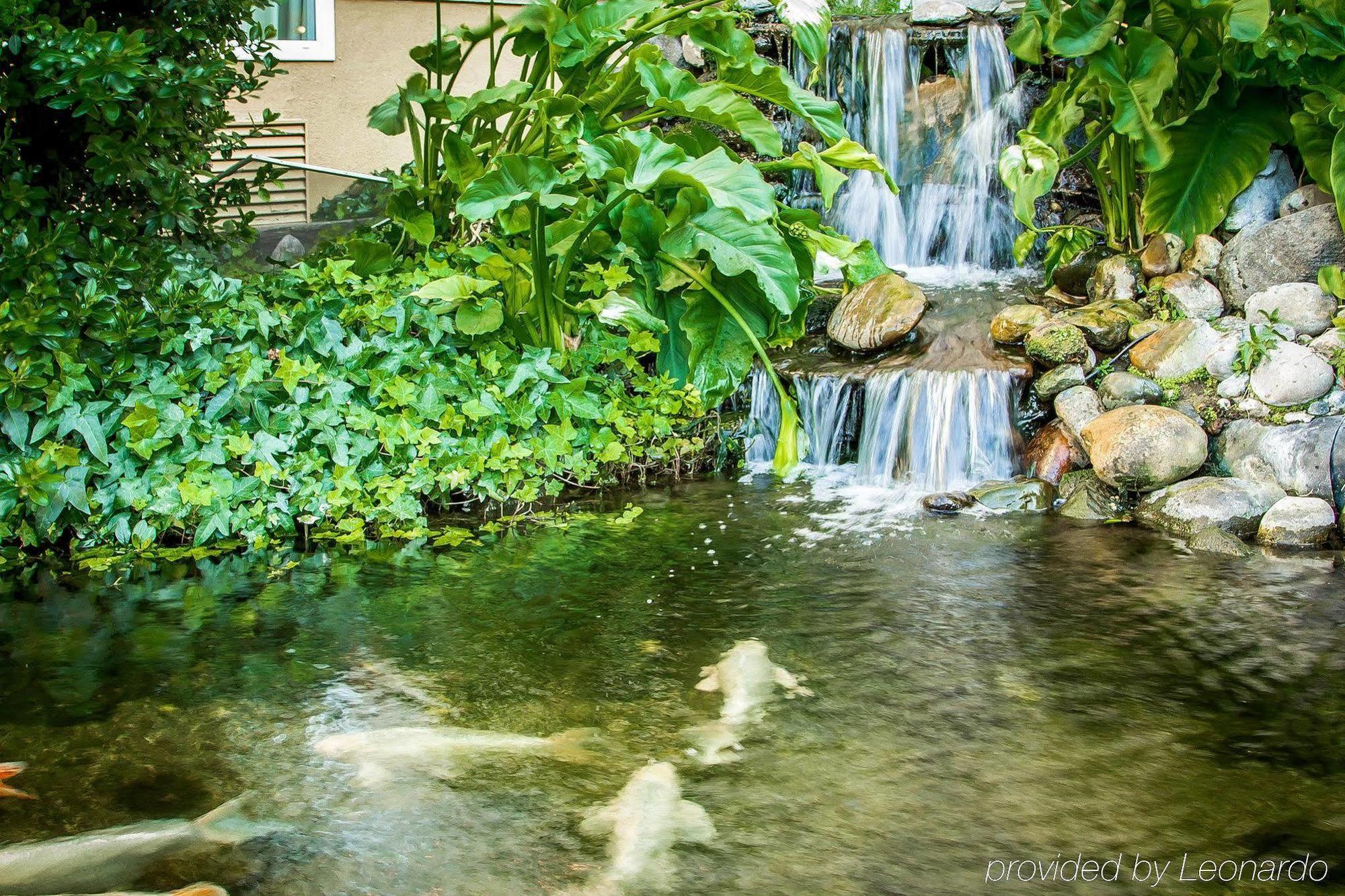 Comfort Inn Modesto Luaran gambar